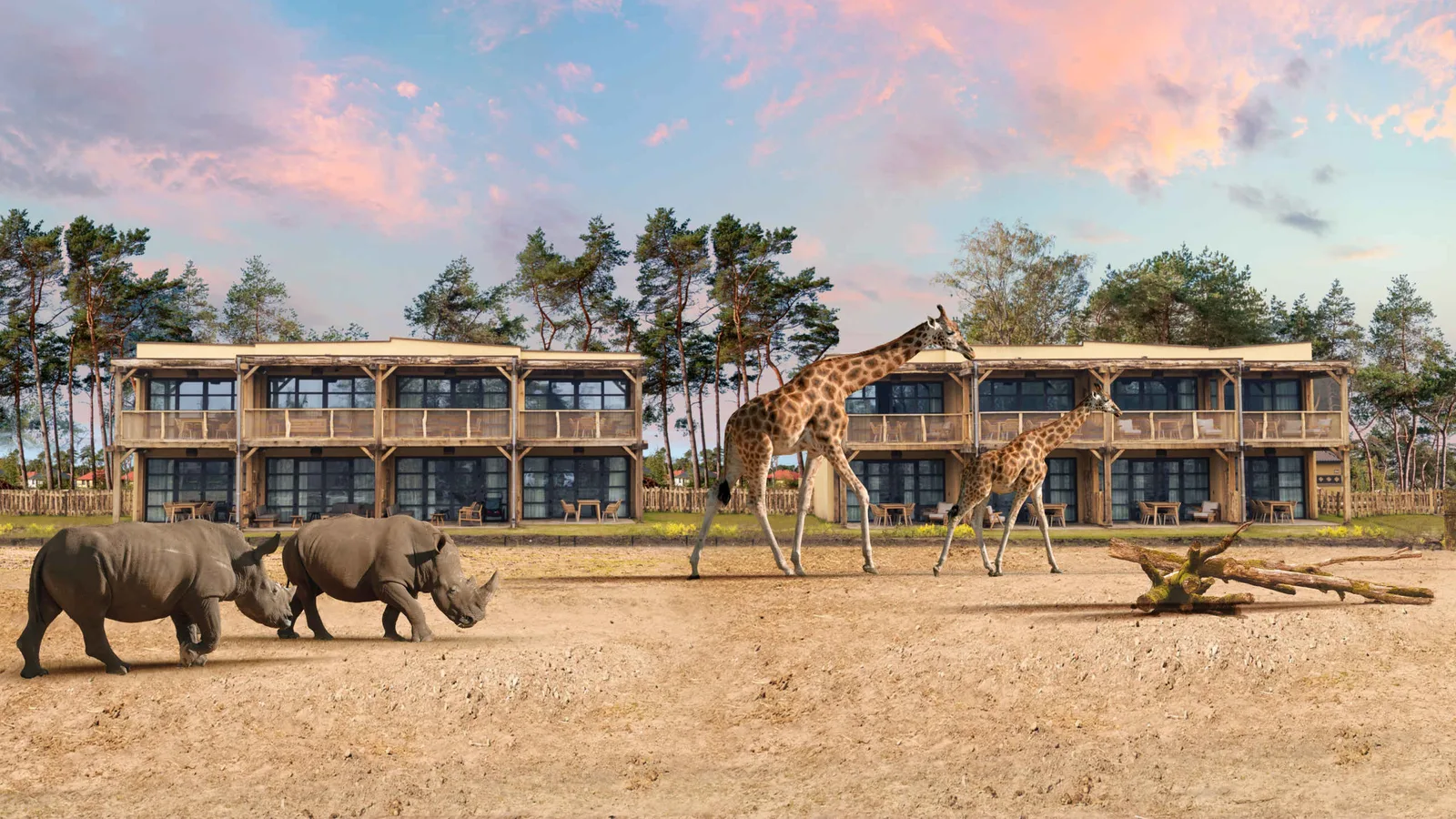 Beekse Bergen, congreslocatie in Hilvarenbeek