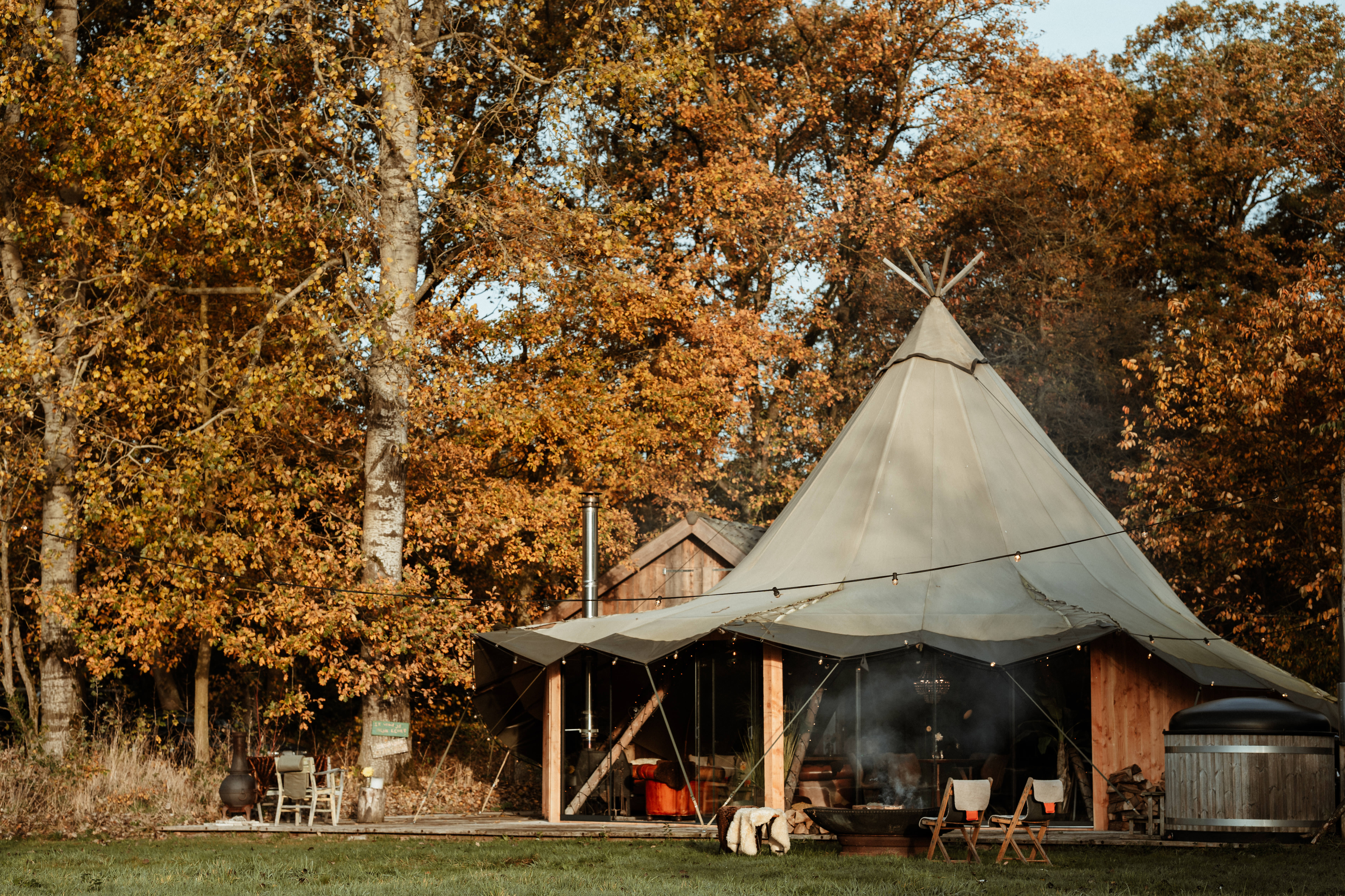 Sunfield Experience